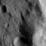 FC21B0015490_11361044605F1G.jpg