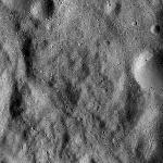 FC21B0015491_11361044850F1G.jpg