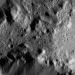 FC21B0015495_11361045950F1G.jpg