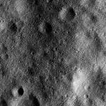 FC21B0015519_11361082852F1G.jpg