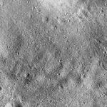 FC21B0015526_11361083737F1G.jpg