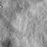 FC21B0015531_11361084352F1G.jpg