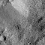 FC21B0015553_11361092922F1G.jpg