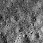 FC21B0015578_11361125831F1G.jpg
