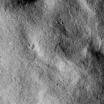 FC21B0015608_11361135230F1G.jpg