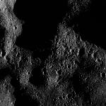 FC21B0015620_11361170156F1G.jpg