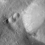 FC21B0015640_11361172927F1G.jpg