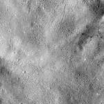 FC21B0015656_11361175356F1G.jpg