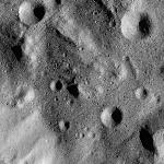 FC21B0015668_11361182656F1G.jpg