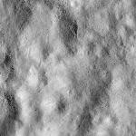 FC21B0015693_11361214827F1G.jpg