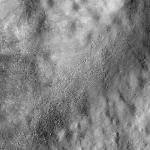FC21B0015694_11361214942F1G.jpg