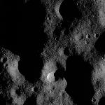 FC21B0015729_11363040831F1G.jpg