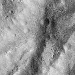FC21B0015768_11363050546F1G.jpg
