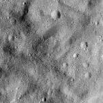 FC21B0015772_11363051647F1G.jpg