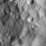 FC21B0015799_11363085308F1G.jpg