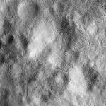 FC21B0015803_11363085808F1G.jpg