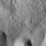 FC21B0015808_11363090424F1G.jpg