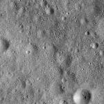 FC21B0015813_11363091039F1G.jpg