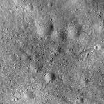 FC21B0015816_11363091424F1G.jpg