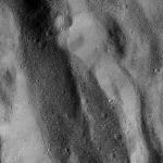 FC21B0015827_11363093708F1G.jpg