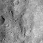 FC21B0015830_11363094523F1G.jpg