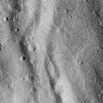 FC21B0015873_11363134136F1G.jpg