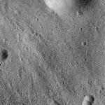 FC21B0015876_11363134522F1G.jpg