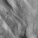 FC21B0015880_11363135450F1G.jpg