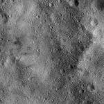 FC21B0015924_11363180033F1G.jpg