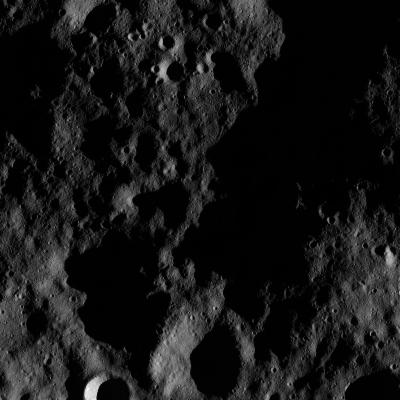FC21B0015955_11363214834F1G.jpg