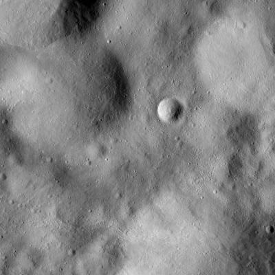 FC21B0015967_11363220632F1G.jpg