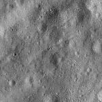 FC21B0015982_11363222518F1G.jpg