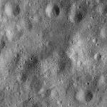 FC21B0015983_11363222634F1G.jpg