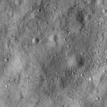 FC21B0015984_11363222747F1G.jpg