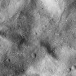 FC21B0016052_12001034441F1G.jpg