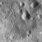 FC21B0016154_12001121050F1G.jpg