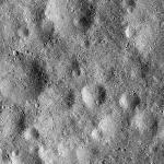 FC21B0016206_12001163159F1G.jpg