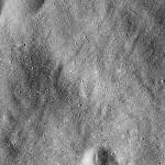 FC21B0016214_12001164328F1G.jpg