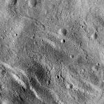 FC21B0016277_12001212900F1G.jpg