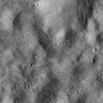 FC21B0016309_12003033748F1G.jpg