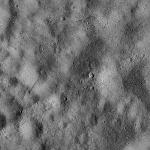 FC21B0016310_12003033902F1G.jpg