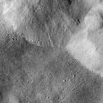 FC21B0016362_12003080123F1G.jpg