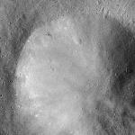 FC21B0016372_12003081353F1G.jpg