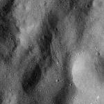 FC21B0016444_12003130821F1G.jpg