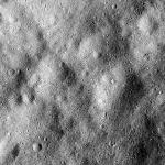 FC21B0016475_12003165036F1G.jpg