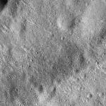 FC21B0016485_12003170306F1G.jpg