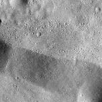 FC21B0016494_12003171551F1G.jpg
