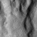 FC21B0016504_12003174320F1G.jpg