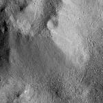 FC21B0016508_12003175420F1G.jpg