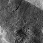 FC21B0016555_12003215634F1G.jpg